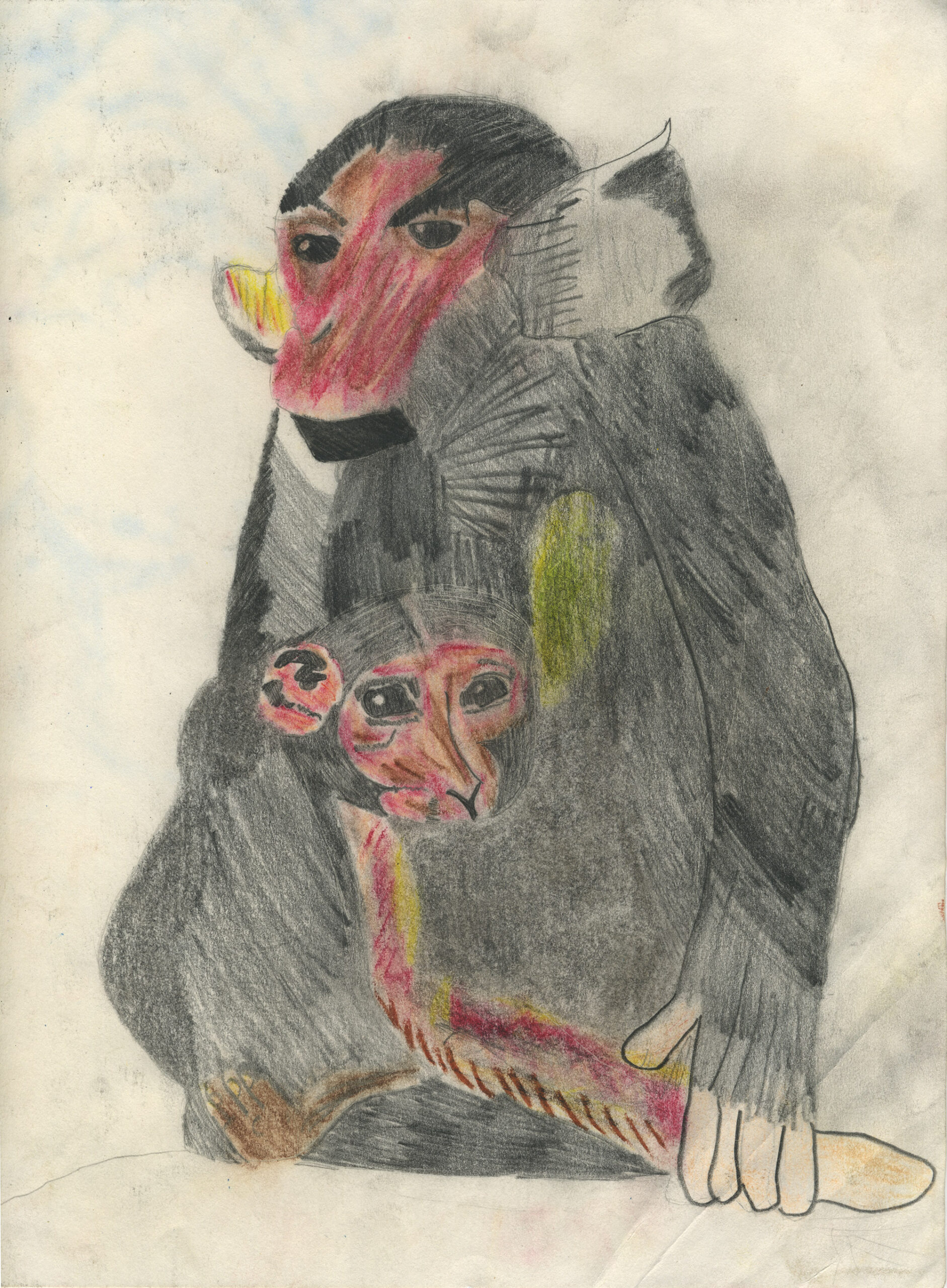 1983_08_25_MONKEYS_8.5×11.5_sm2k