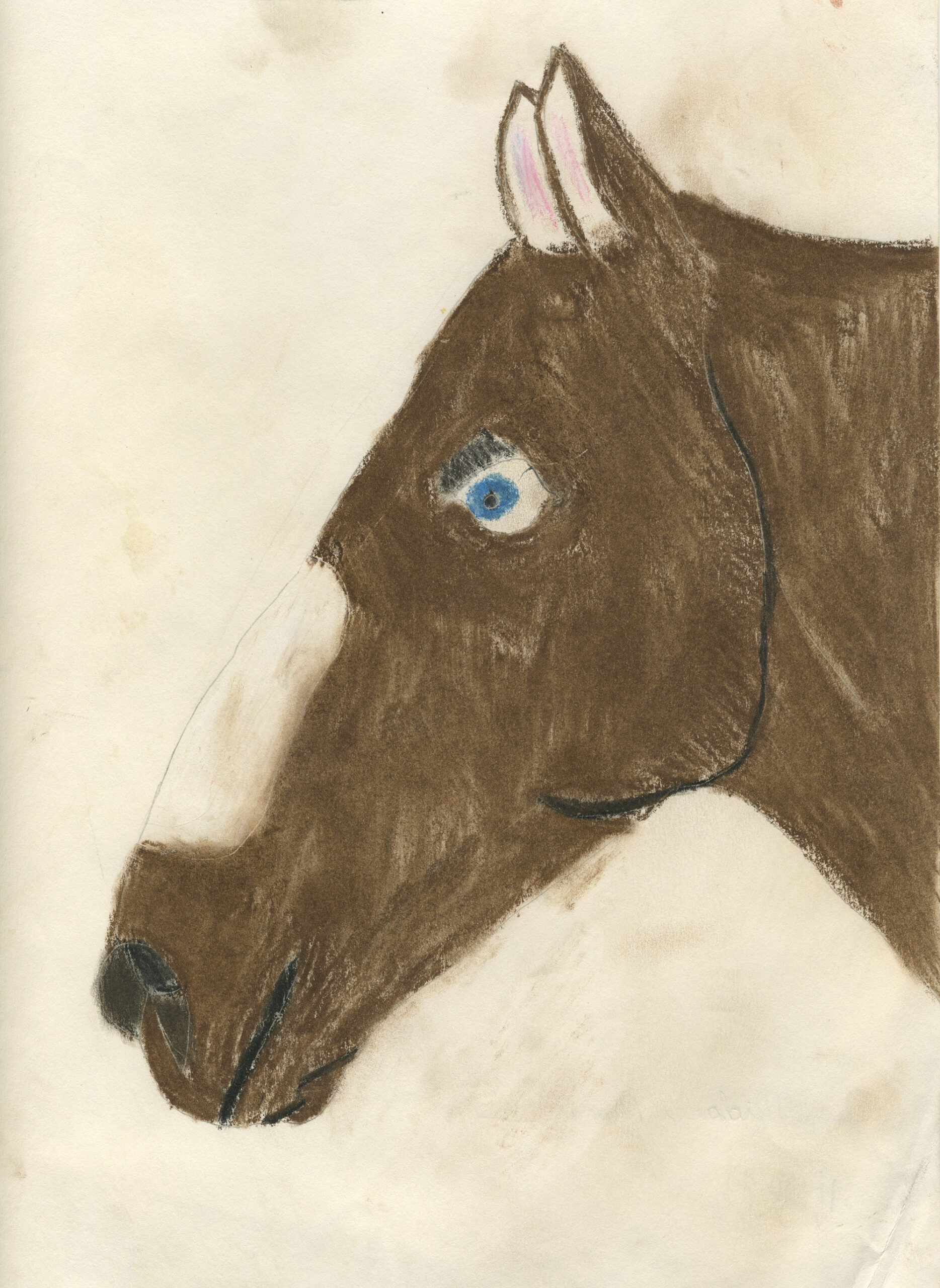 1983_11_20_HORSE_8x11_sm2k