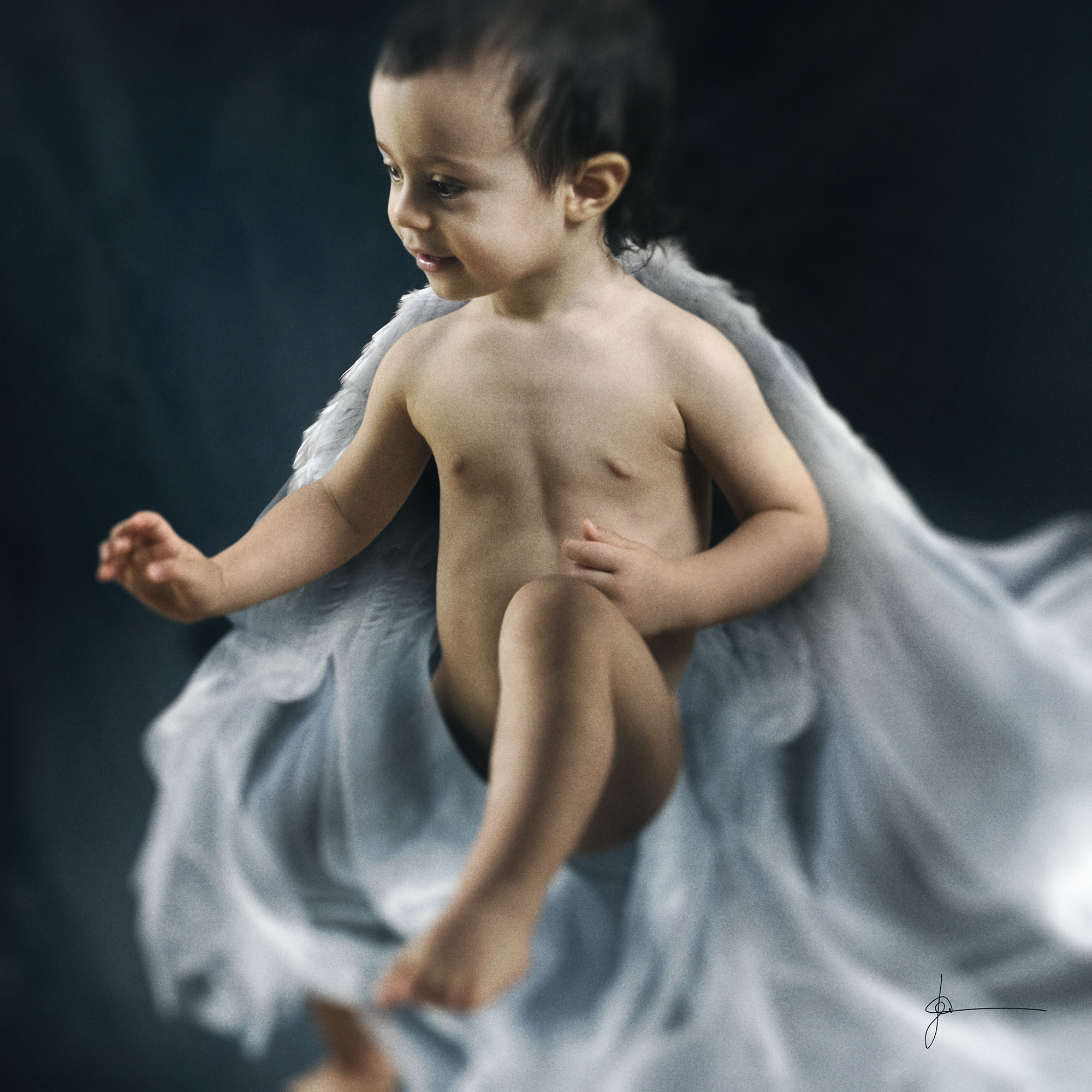 The Halcyon Eros