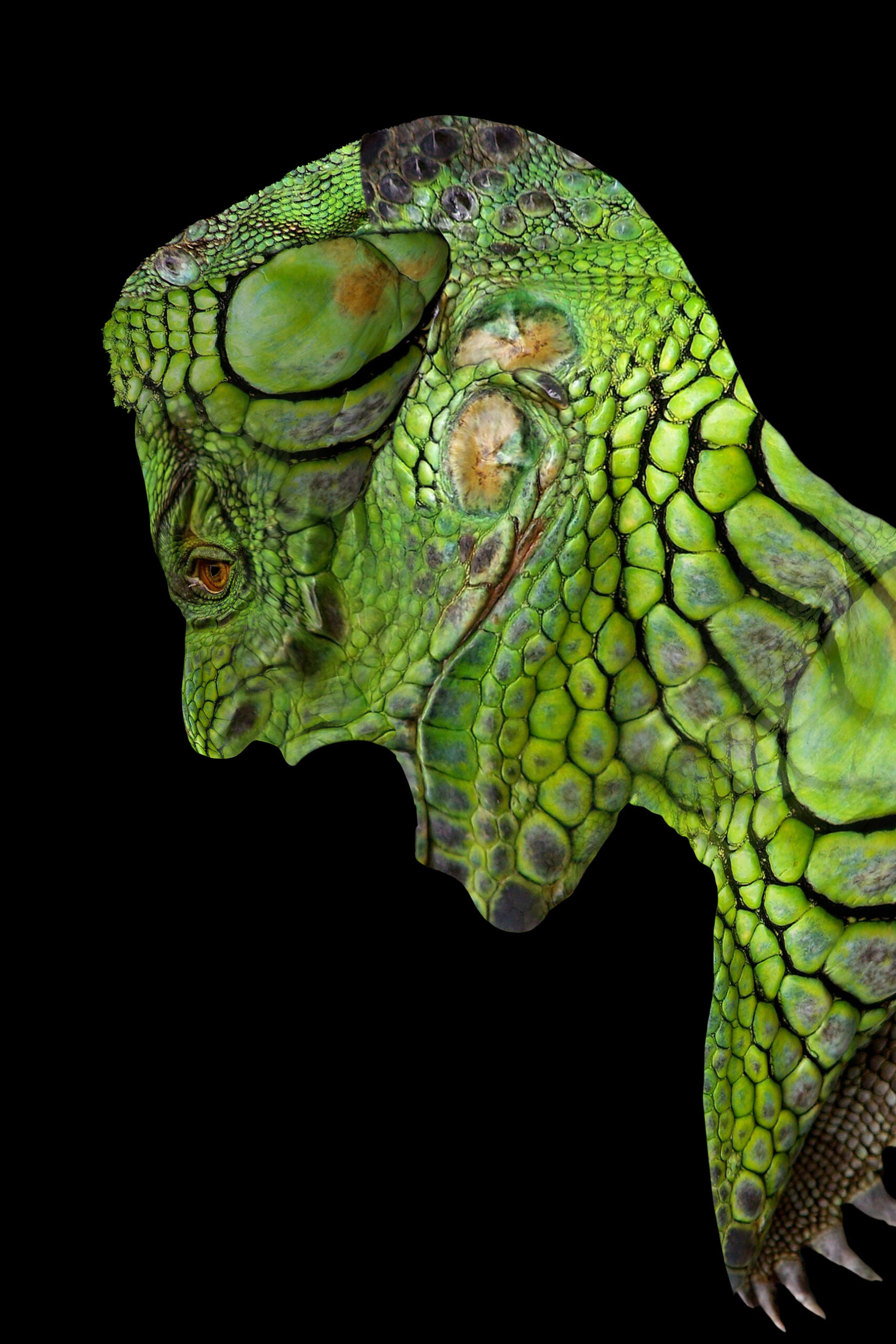 Lizard-skin texture element