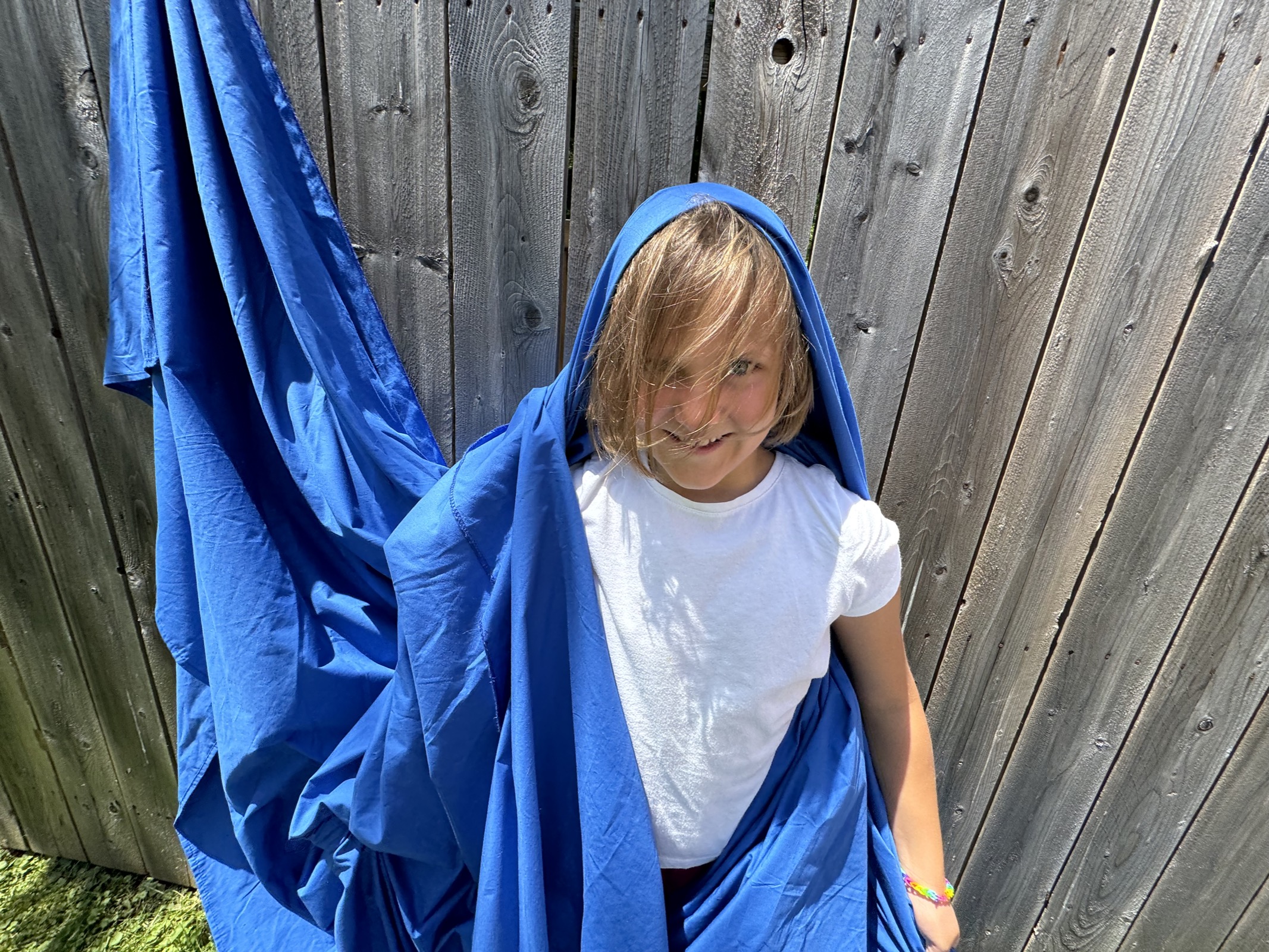 Special assistant wrapped in the blue screen