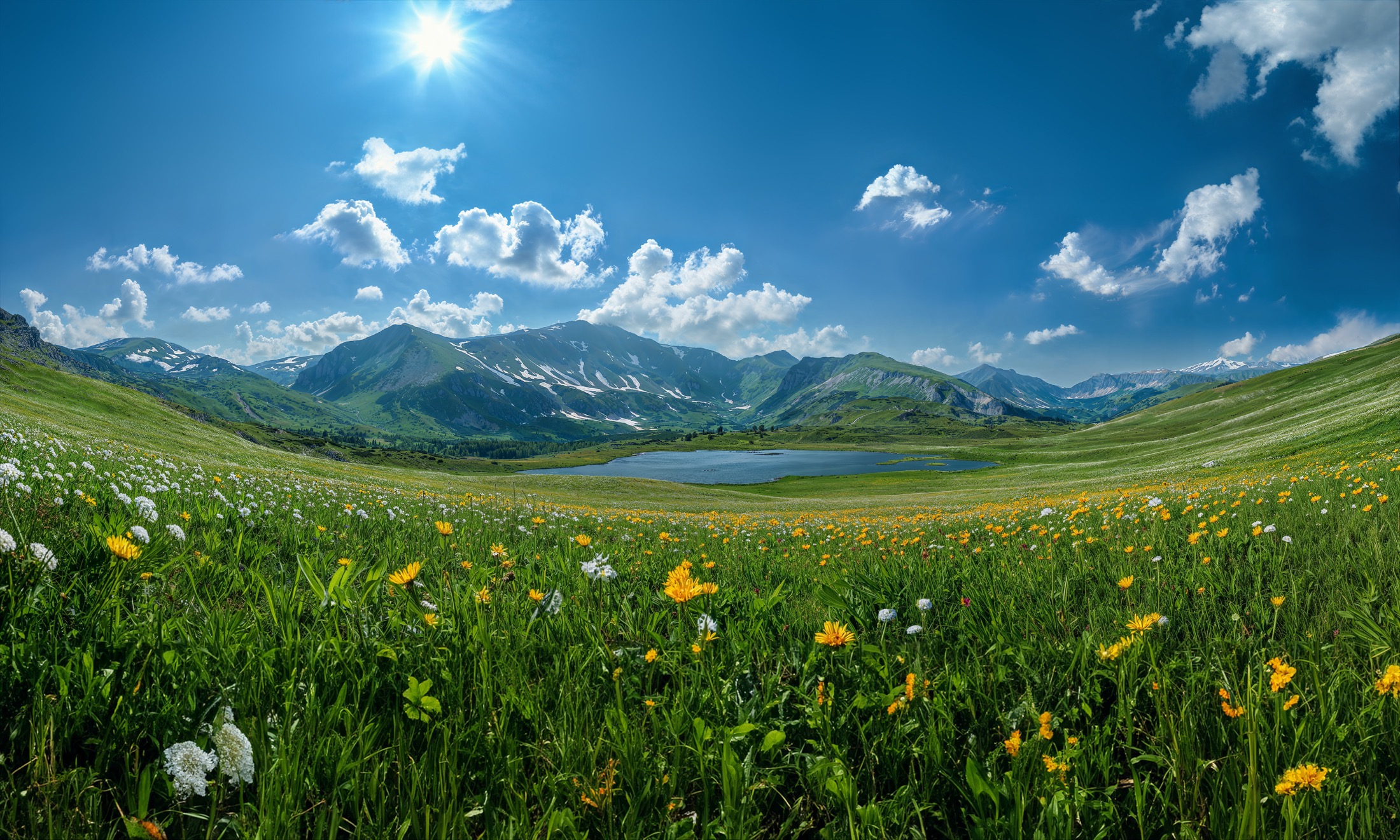 The backplate landscape