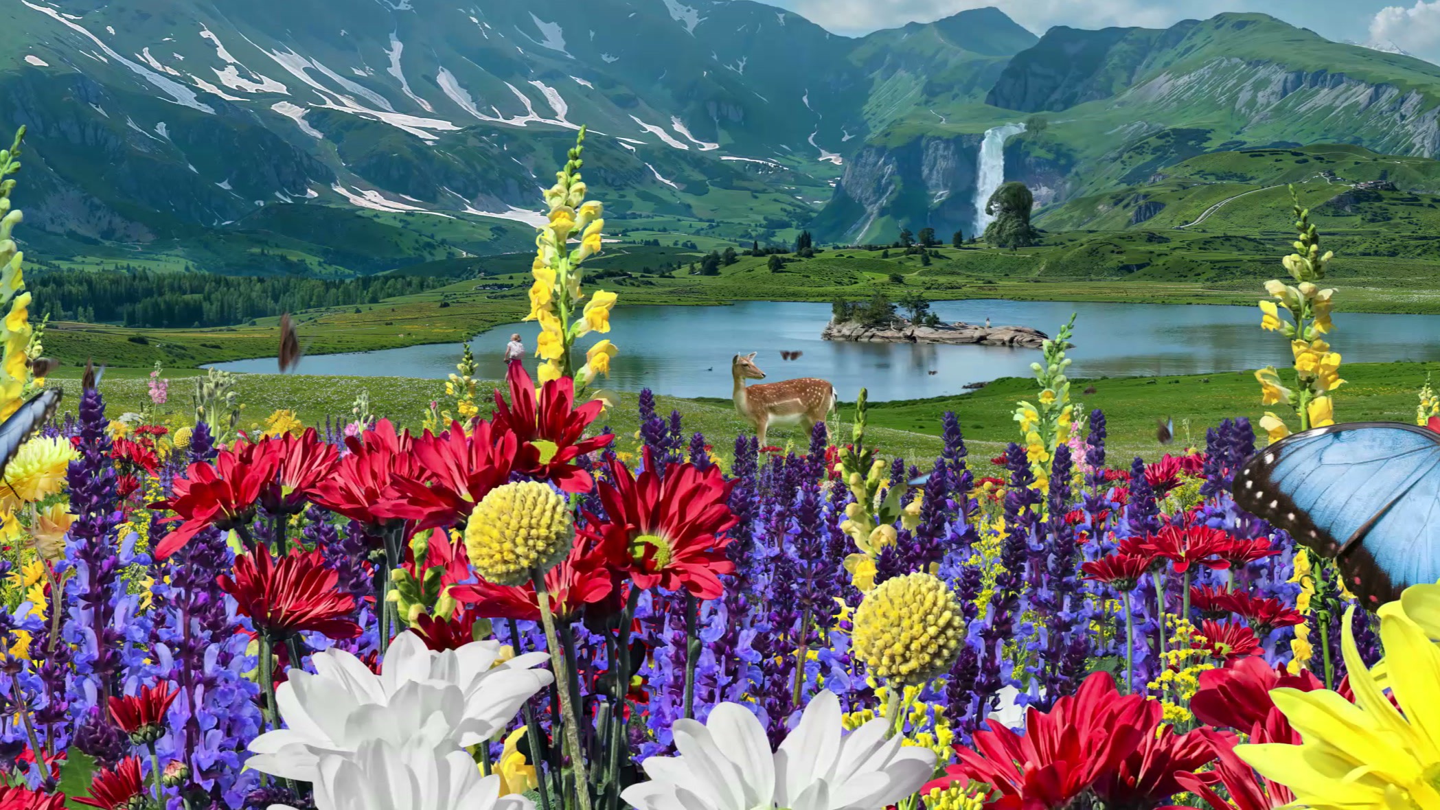 SAMSUNG Landscape